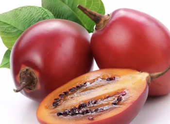 Rose hip extract